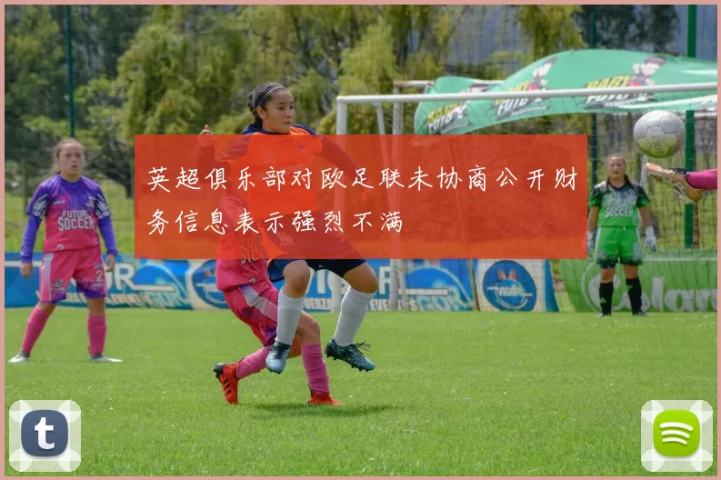 英超俱乐部对欧足联未协商公开财务信息表示强烈不满