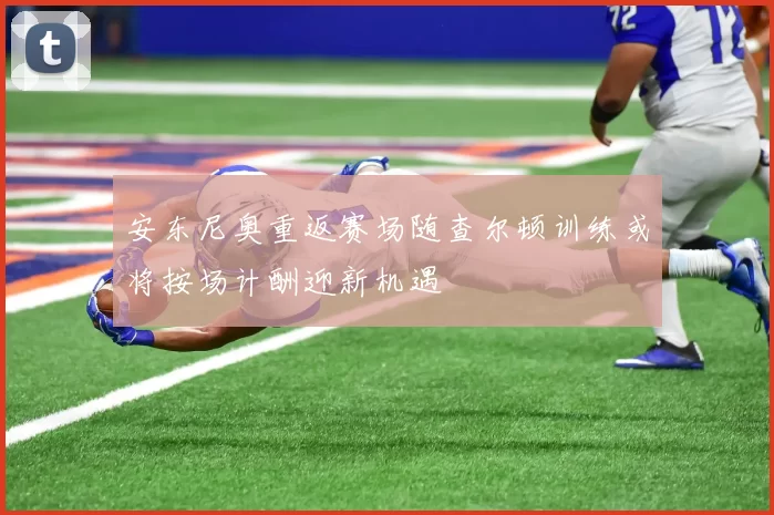 安东尼奥重返赛场随查尔顿训练或将按场计酬迎新机遇